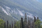 36 - Maligne Canyon, Medicine Lake, Maligne Lake - IMG_1119